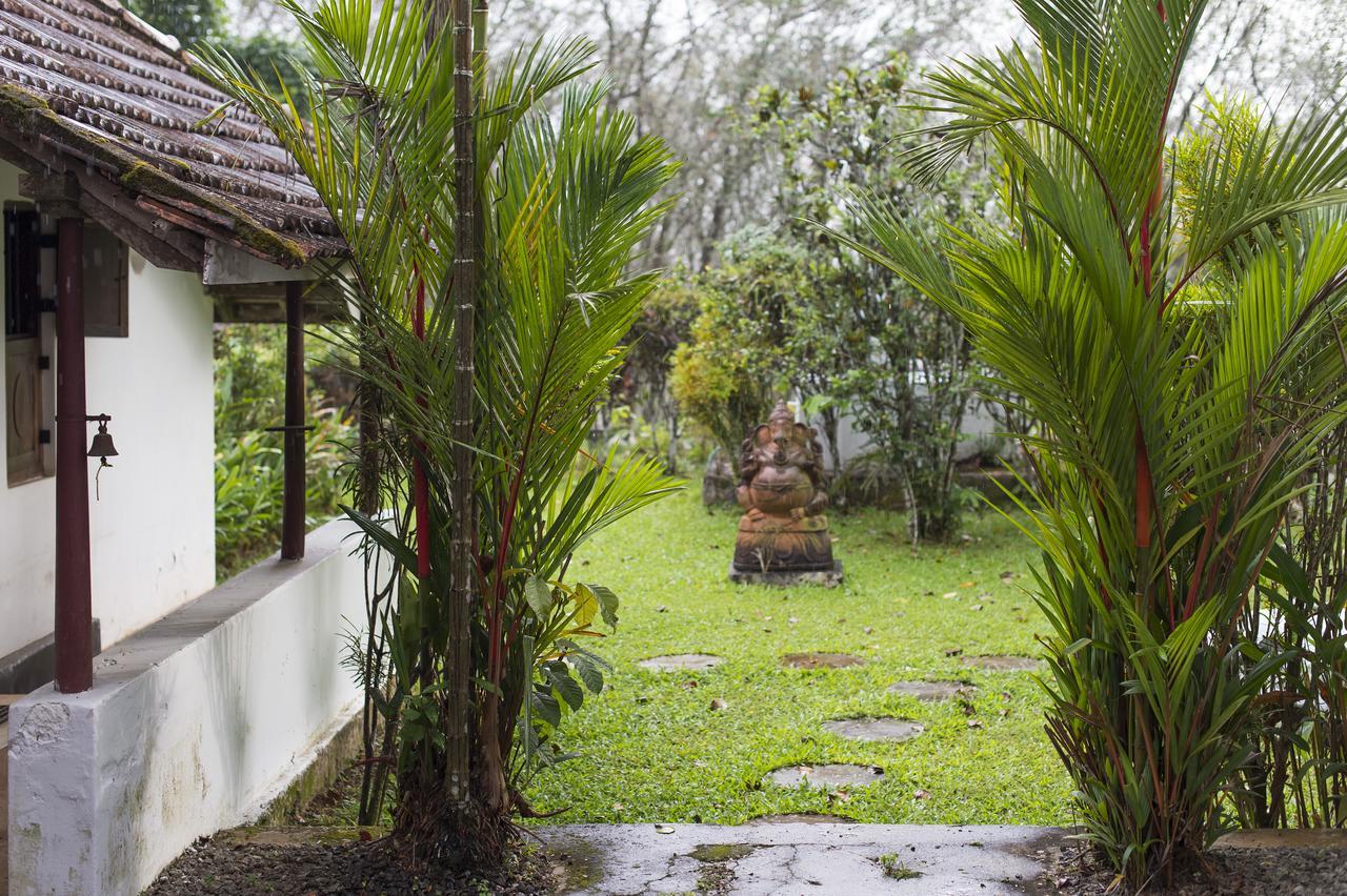 Serenity At Kanam Estate Bagian luar foto